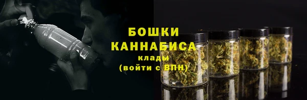 МДПВ Медногорск